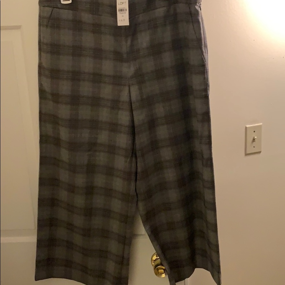 NWT Loft Pants